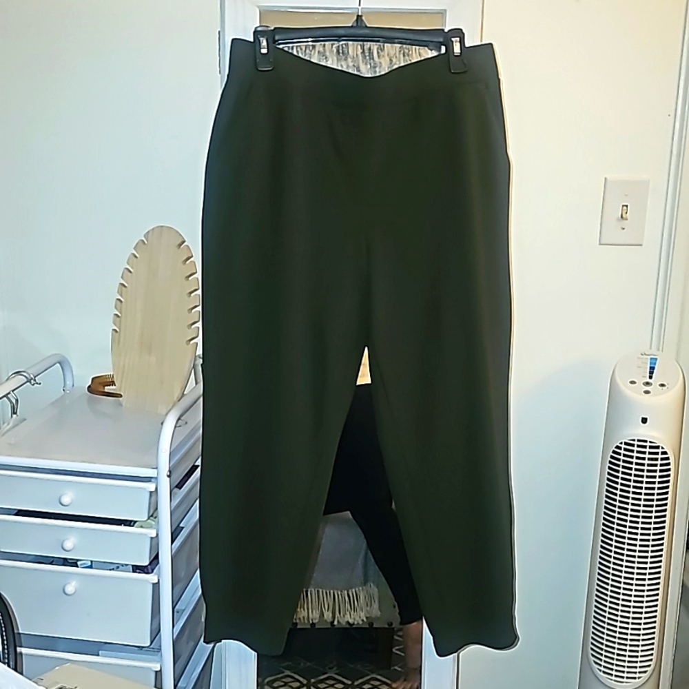 Loft women's dress pants. Size Large petite